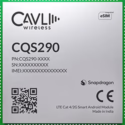 cqs290